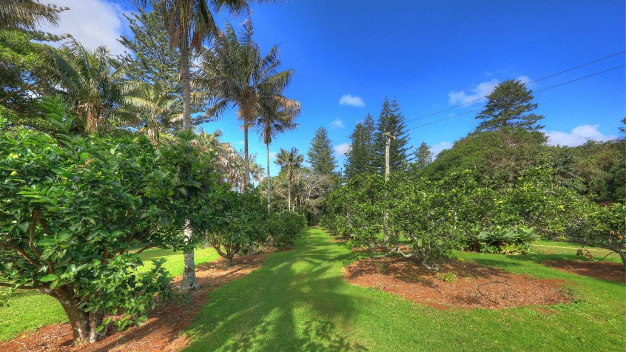 מלון בורנט פיין Hideaway Retreat מראה חיצוני תמונה